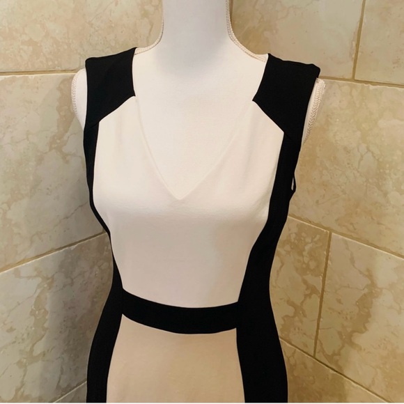 WHBM Sleeveless V-Neck Colorblock Sheath Dress Size 6 - Picture 5 of 9